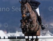 Wriering World Wide TosTour2013- S5 2770 : Arezzo, Arezzo Equestrian Centre, Toscana Tour 2013, Wiering Harrie, World wide, foto di Stefano Secchi ©